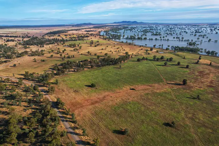 Third view of Homely rural property listing, 1872 Lake Cowal Road, West Wyalong NSW 2671