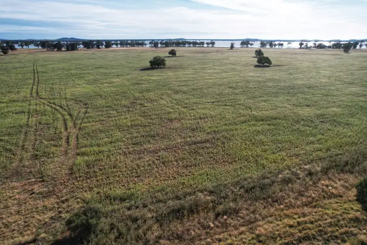 Fourth view of Homely rural property listing, 1872 Lake Cowal Road, West Wyalong NSW 2671