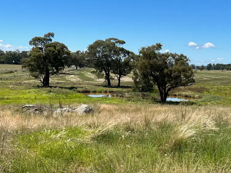 'Yandilla' 6215 Lachlan Valley Way, Forbes NSW 2871