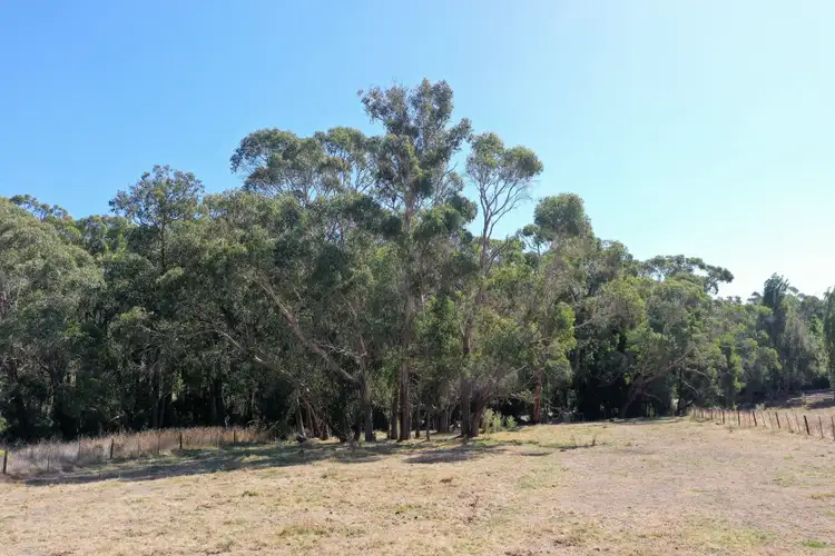 Second view of Homely land listing, Lot 1 Timboon Port Campbell Road, Timboon VIC 3268