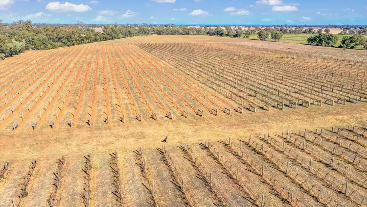 Third view of Homely rural property listing, 140 Spellisey Road, Avonmore VIC 3559