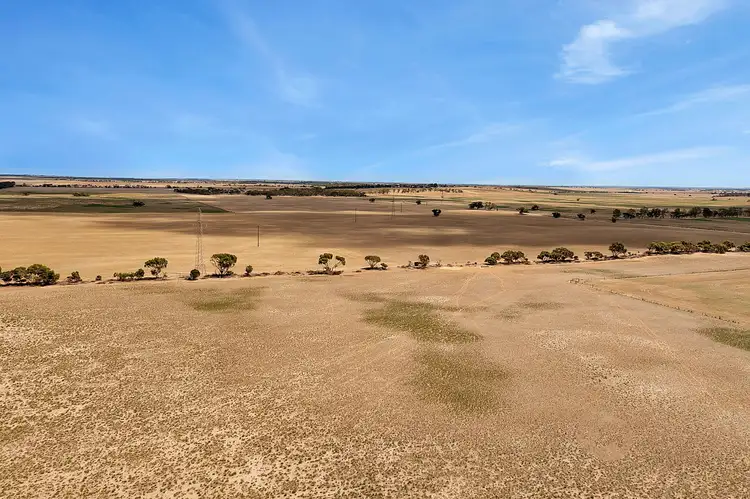 Fifth view of Homely rural property listing, 1043 Old Dukes Highway, Coomandook SA 5261