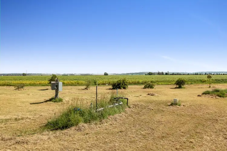 Fifth view of Homely rural property listing, 58 Cockburn Road, Jondaryan QLD 4403