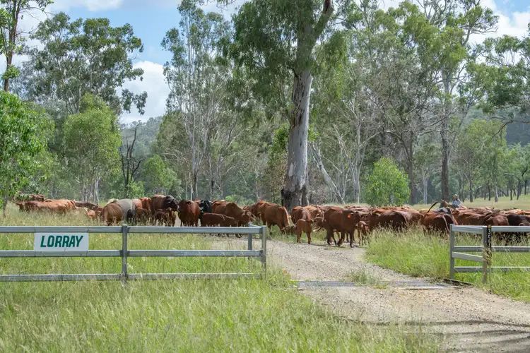 Fifth view of Homely rural property listing, 3473 Yarrol Road, Monto QLD 4630