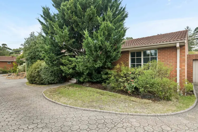 Main view of Homely unit listing, 3/239 Williamsons Road, Templestowe VIC 3106