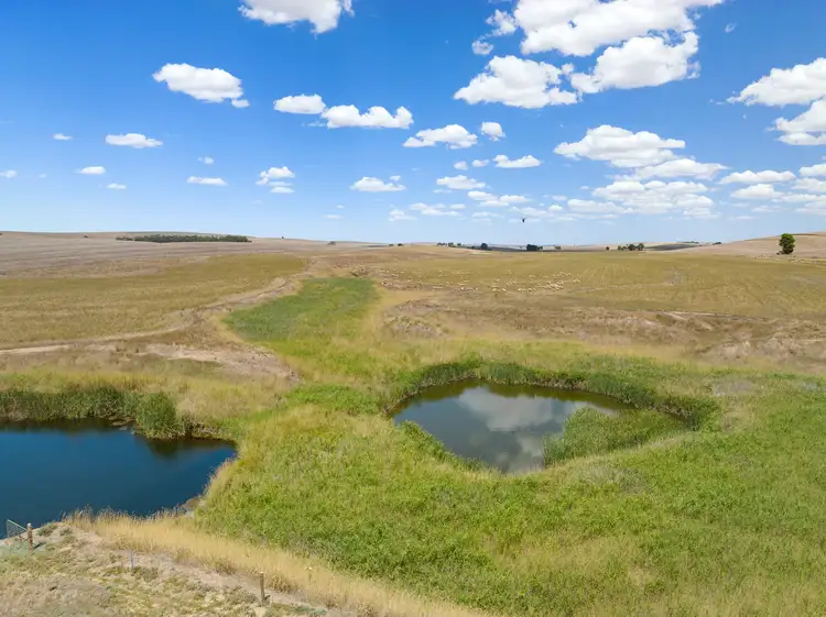 Second view of Homely rural property listing, 133 Andrews Road, Andrews SA 5454