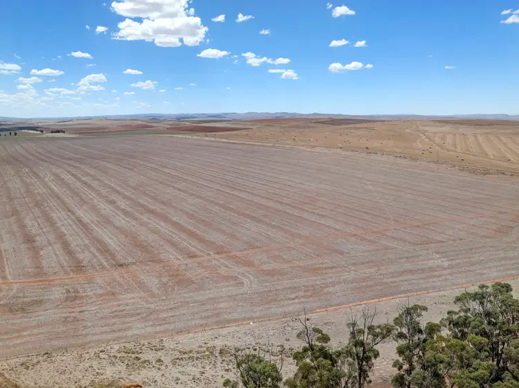 Fourth view of Homely rural property listing, 133 Andrews Road, Andrews SA 5454