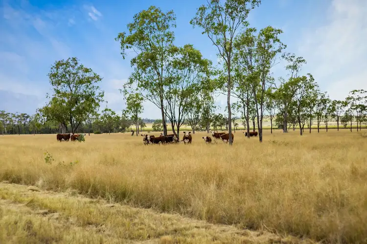 Second view of Homely rural property listing, 100 Longhurst Road, Brookstead QLD 4364