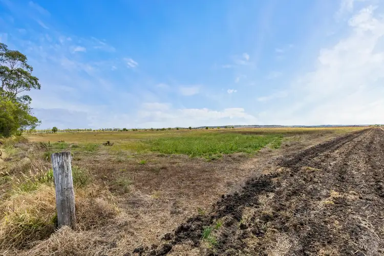 Fourth view of Homely rural property listing, 100 Longhurst Road, Brookstead QLD 4364
