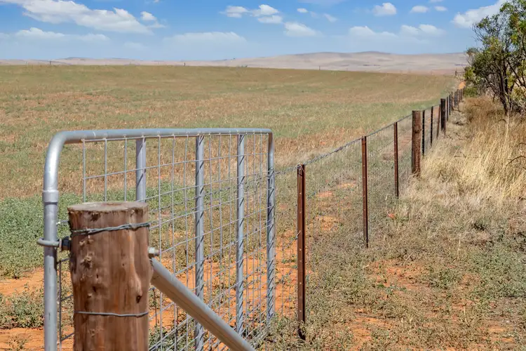 Second view of Homely rural property listing, 198 & Lot 74 Webster Road, Hanson SA 5417