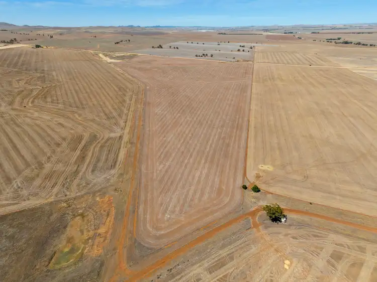 Seventh view of Homely rural property listing, 198 & Lot 74 Webster Road, Hanson SA 5417