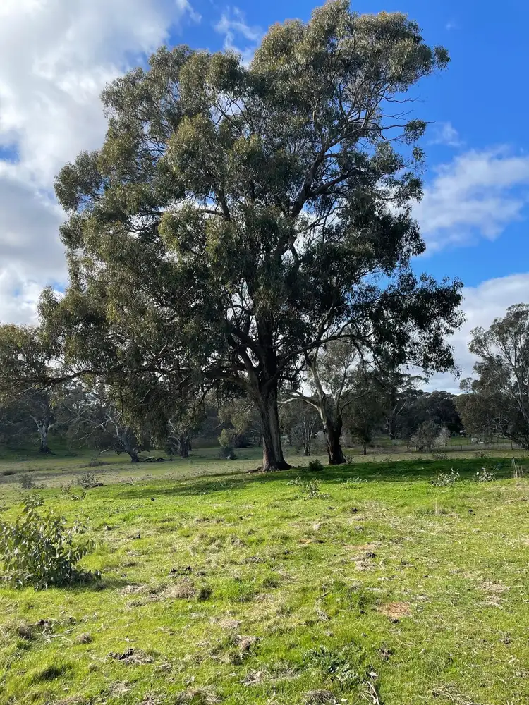 Sixth view of Homely land listing, LOT Lot 2, 530 Spring Flat Road, Heathcote VIC 3523
