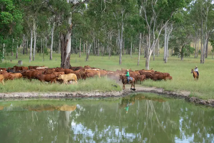 Main view of Homely rural property listing, 3473 Yarrol Road, Yarrol QLD 4630