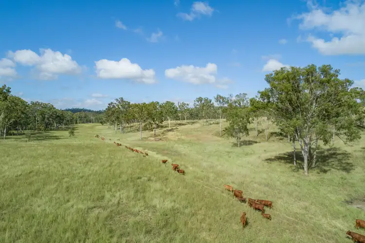 Third view of Homely rural property listing, 3473 Yarrol Road, Yarrol QLD 4630