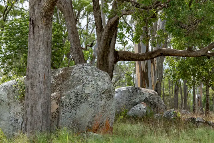 Fifth view of Homely rural property listing, 9807 Bunya Highway, Kingaroy QLD 4610