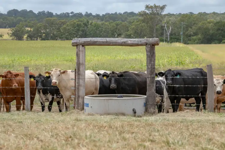 Sixth view of Homely rural property listing, 9807 Bunya Highway, Kingaroy QLD 4610