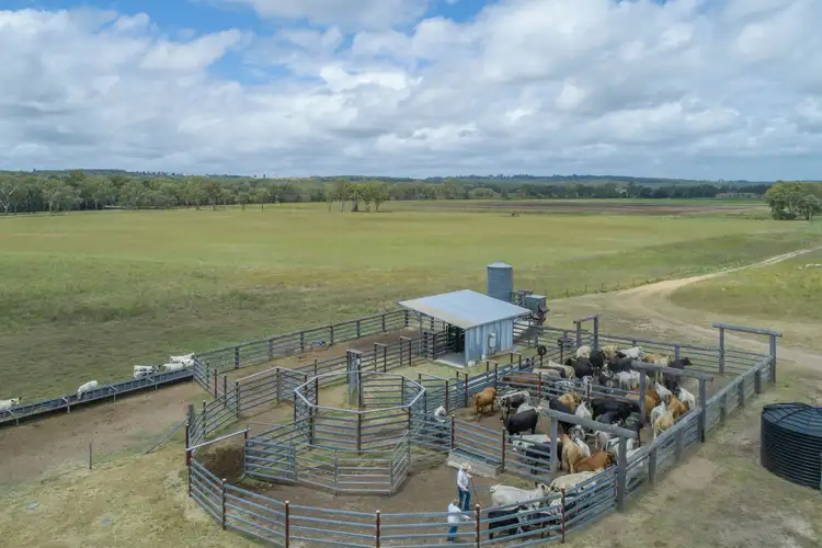 Seventh view of Homely rural property listing, 9807 Bunya Highway, Kingaroy QLD 4610