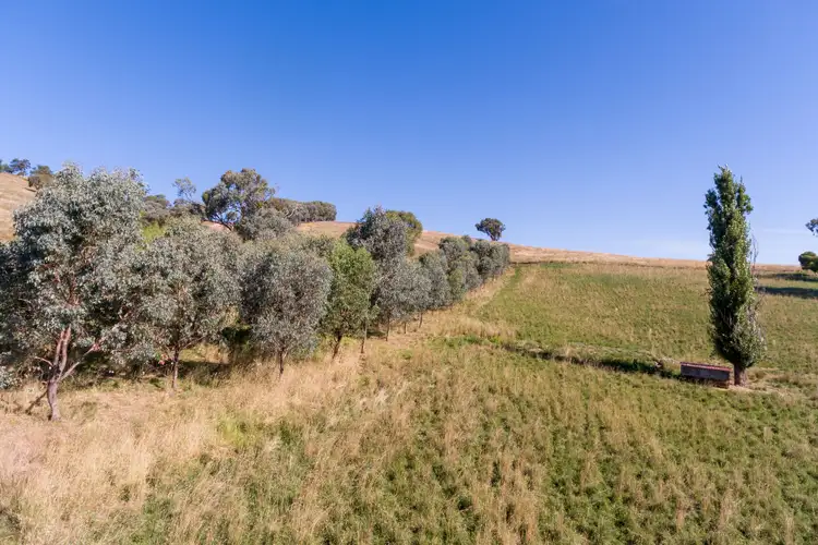 Third view of Homely rural property listing, 2237 The Escort Way, Orange NSW 2800