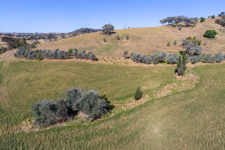 Fourth view of Homely rural property listing, 2237 The Escort Way, Orange NSW 2800