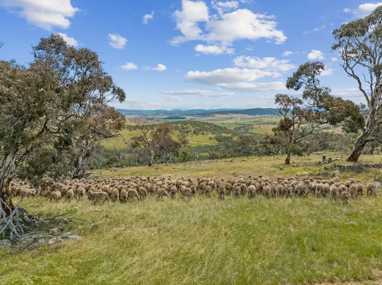 Third view of Homely rural property listing, 1220 Caddigat Road, Adaminaby NSW 2629