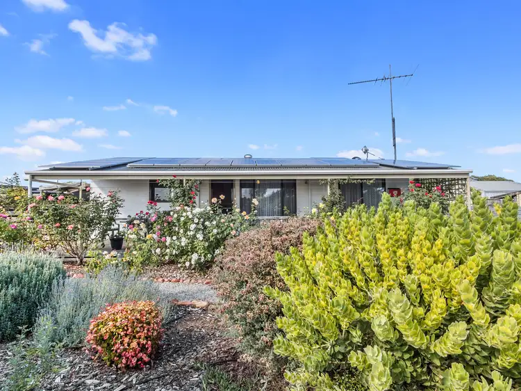 Main view of Homely house listing, 11 North Terrace, Maitland SA 5573