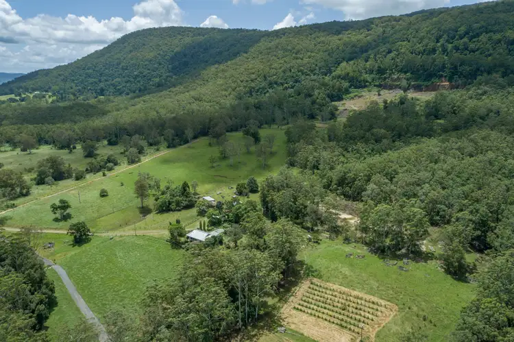 Main view of Homely rural property listing, 2705 Nerang Murwillumbah Road, Numinbah Valley QLD 4211