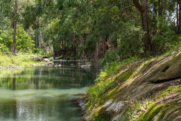 Fifth view of Homely rural property listing, 2705 Nerang Murwillumbah Road, Numinbah Valley QLD 4211