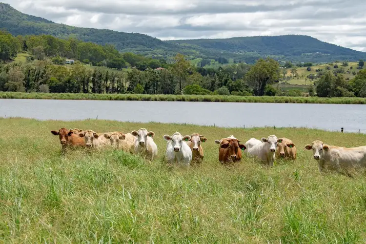 Seventh view of Homely rural property listing, 64 Bunjurgen Road, Dugandan QLD 4310