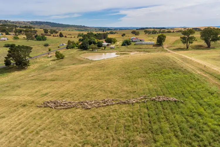 Sixth view of Homely rural property listing, 25 Hollis Lane, Perthville NSW 2795