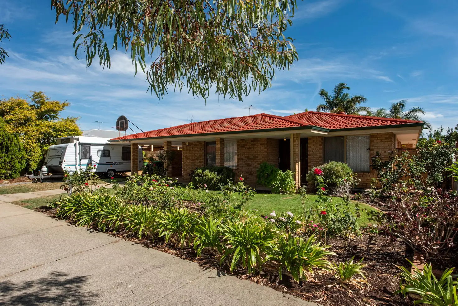 Main view of Homely house listing, 71 Cuthbertson Drive, Cooloongup WA 6168