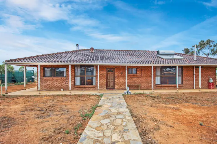 66 Thamm Road, Morgan SA 5320