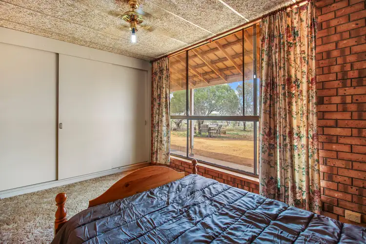 Seventh view of Homely house listing, 66 Thamm Road, Morgan SA 5320