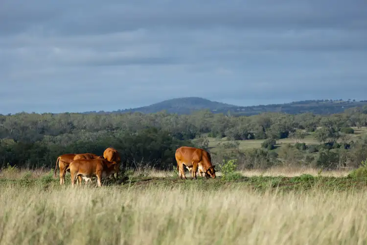 Fifth view of Homely rural property listing, Lot 2377 Robert Road, Biddeston QLD 4401