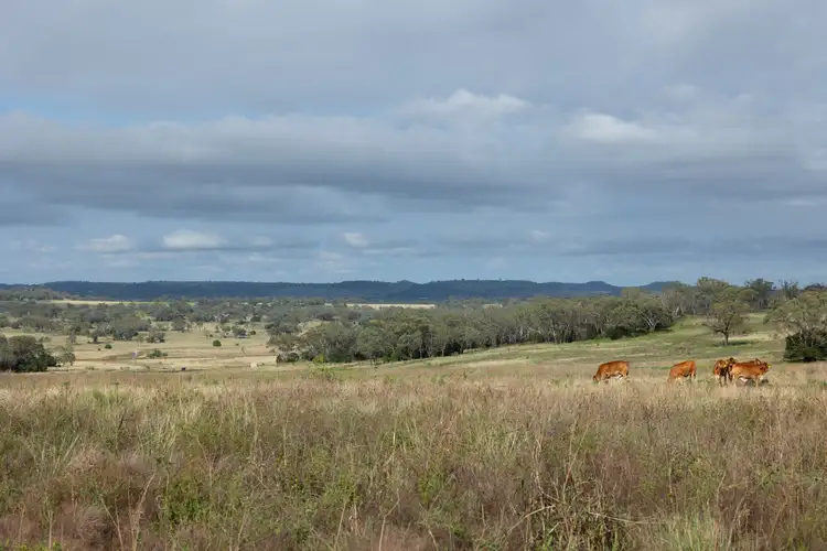 Sixth view of Homely rural property listing, Lot 2377 Robert Road, Biddeston QLD 4401