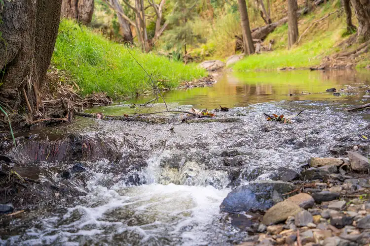 Second view of Homely rural property listing, "Creekview" 389 Mount McDonald Road, Wyangala NSW 2808