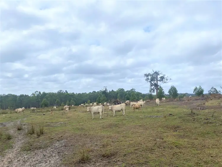 Third view of Homely rural property listing, Lot 102 Penn Road, Kalgan WA 6330
