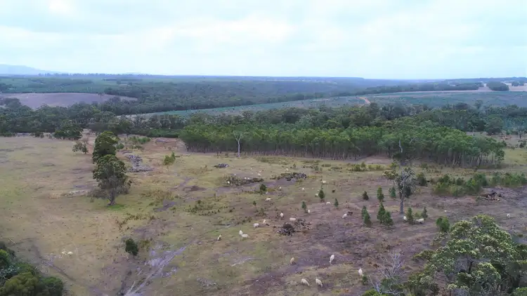 Fifth view of Homely rural property listing, Lot 102 Penn Road, Kalgan WA 6330