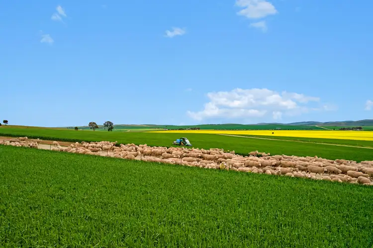 Main view of Homely rural property listing, 'Campbell View' RM Williams Way, Washpool SA 5454