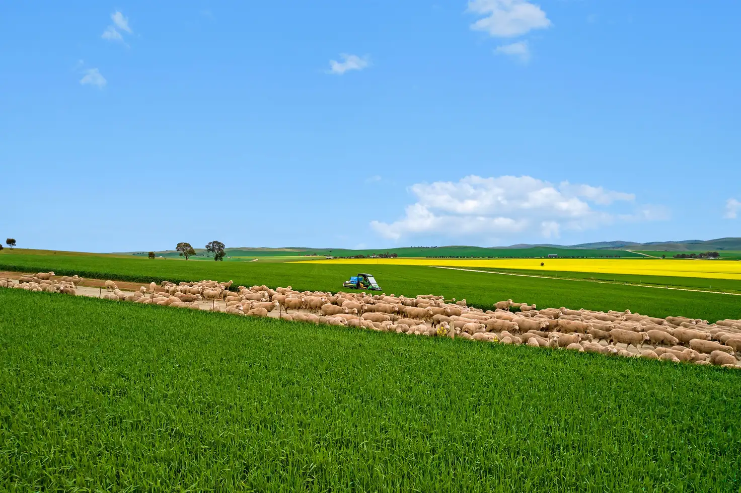 Main view of Homely rural property listing, 'Campbell View' RM Williams Way, Washpool SA 5454