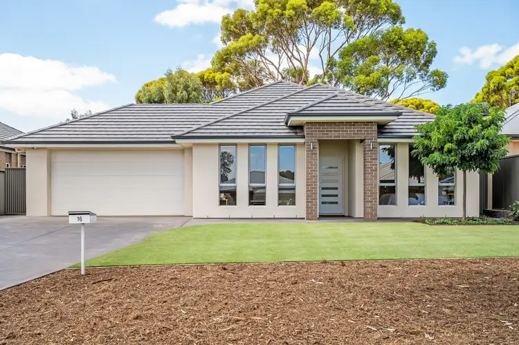 16 Salmon Gum Crescent, Blakeview SA 5114