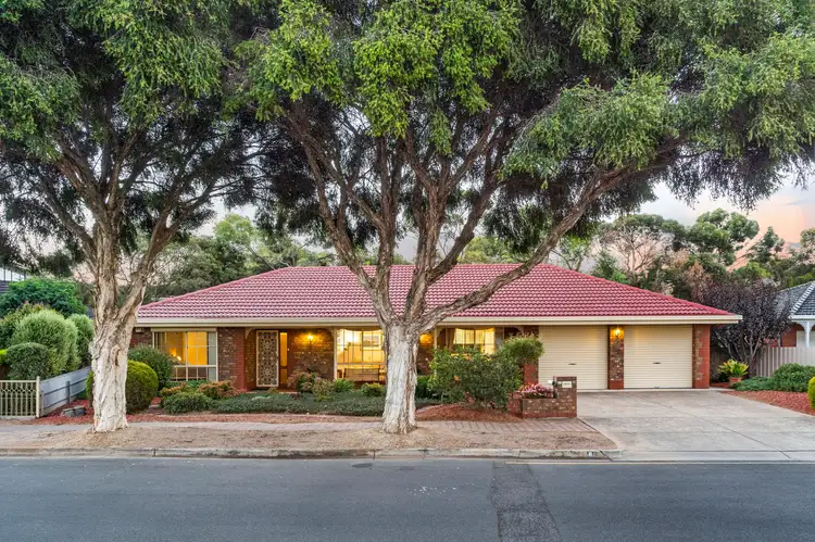 Main view of Homely house listing, 6 Lincoln Road, Paradise SA 5075