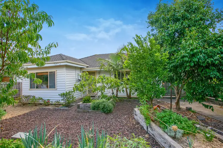 Main view of Homely house listing, 186 Purinuan Road, Reservoir VIC 3073