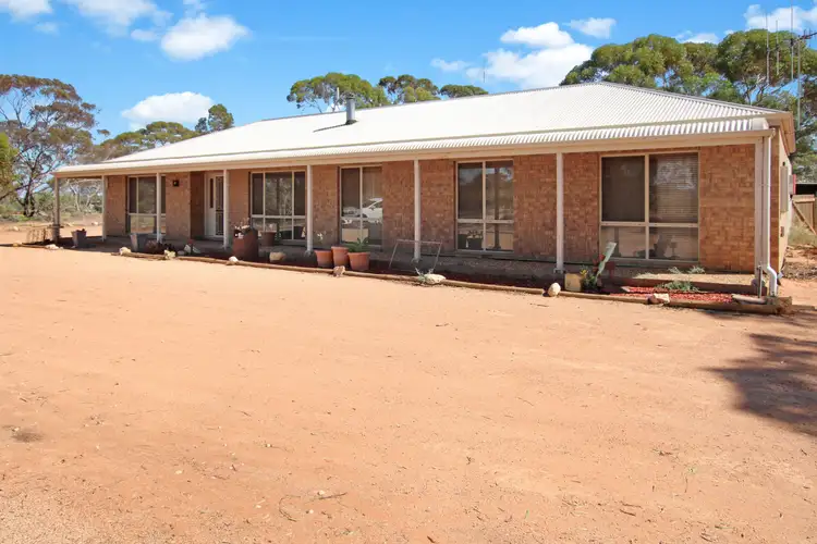 866 Thiele Road, Loveday SA 5345