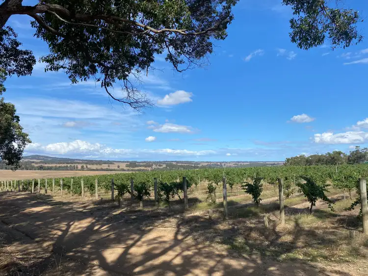 Fourth view of Homely rural property listing, 153 Jones Road, Mount Barker WA 6324