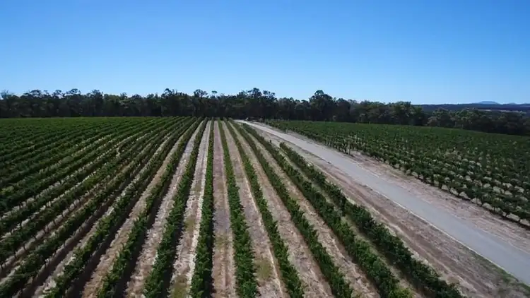 Sixth view of Homely rural property listing, 153 Jones Road, Mount Barker WA 6324