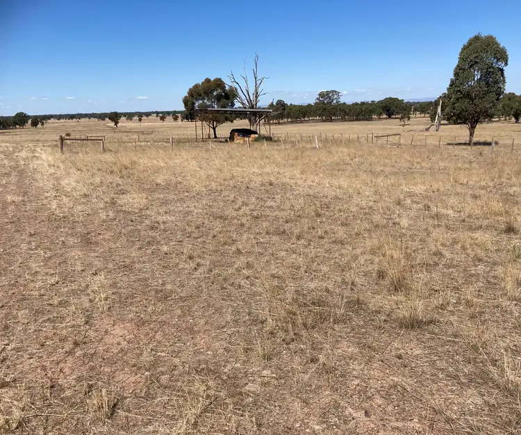Second view of Homely rural property listing, 1275 Stewart Road, Dhurringile VIC 3610