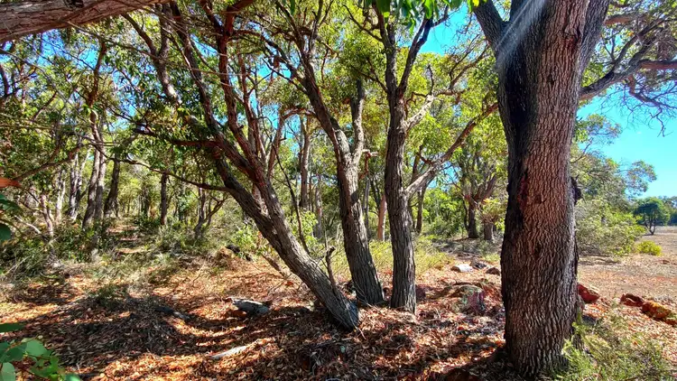 Fourth view of Homely rural property listing, Lot 21 Knight Road, Porongurup WA 6324