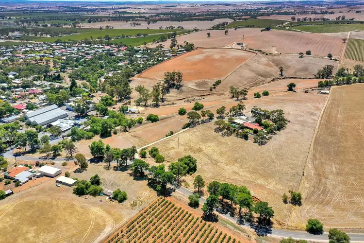 Seventh view of Homely land listing, 401 Queen Street, Stockwell SA 5355