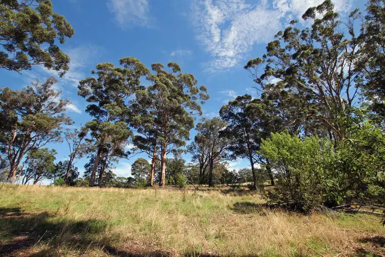 Main view of Homely land listing, 19 Wishart Place, Denmark WA 6333
