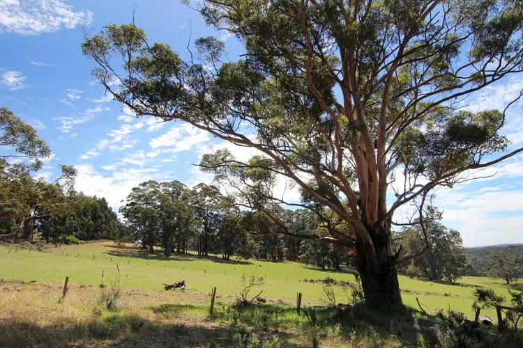 Second view of Homely land listing, 19 Wishart Place, Denmark WA 6333